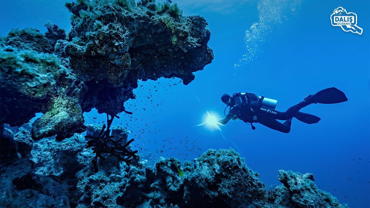 CMAS, PADI, SSI, TSSF Nedir?