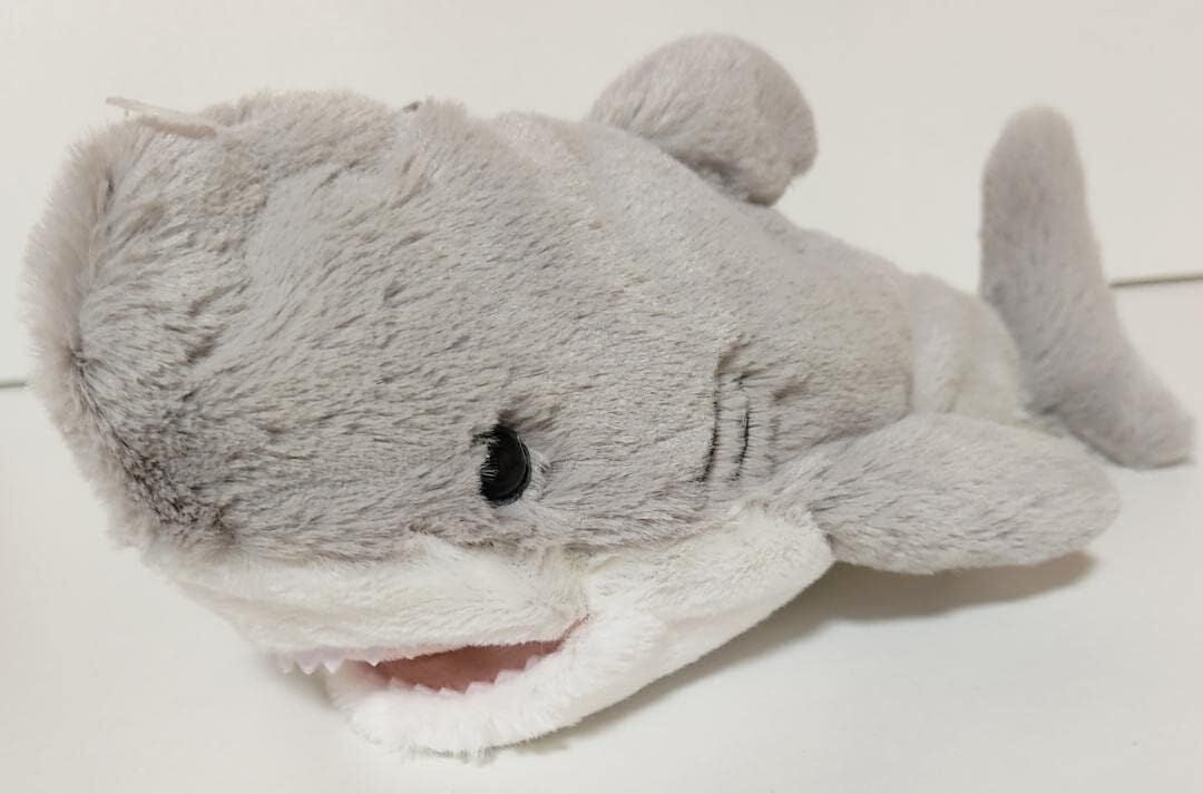 Köpekbalığı Kalemlik