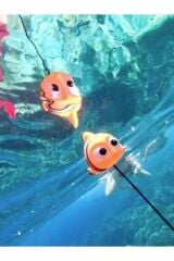 Nemo Şaşkın Dalış Maskotu