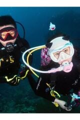 Köpek Balığı Dalış Maskotu