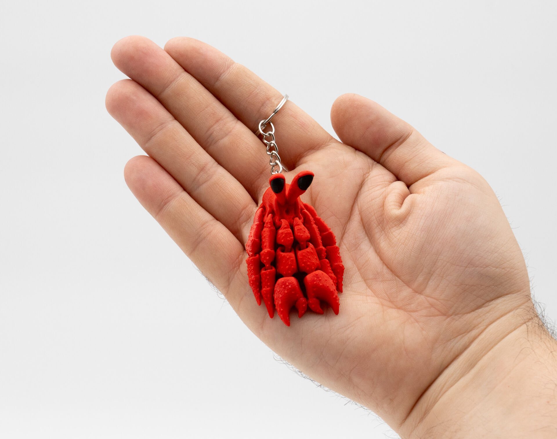 Keşiş Yengeci Anahtarlık