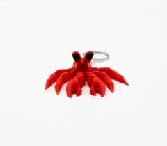 Keşiş Yengeci Anahtarlık