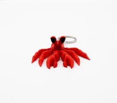 Keşiş Yengeci Anahtarlık