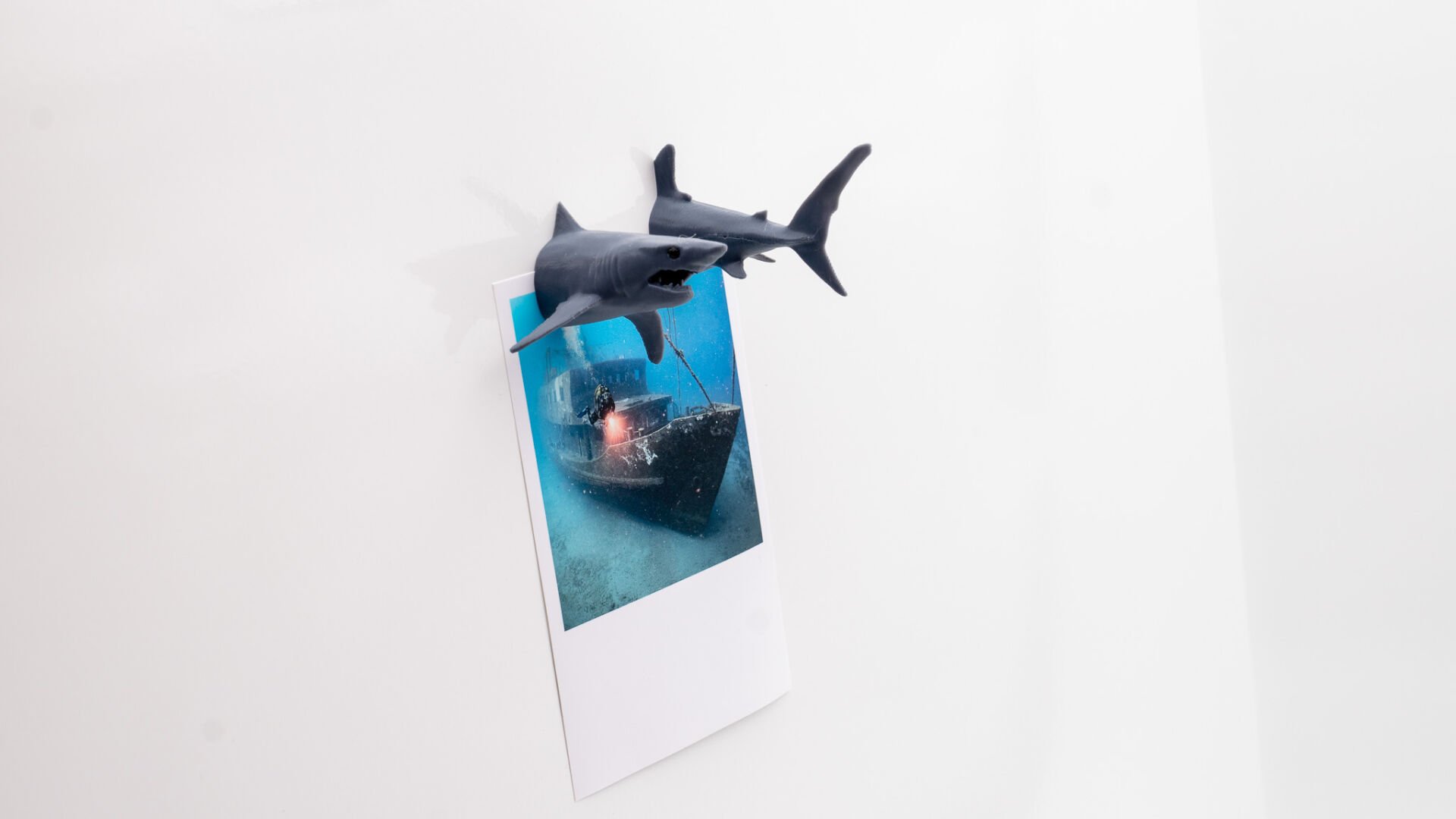 Köpek Balığı Magnet Dolap Süsü