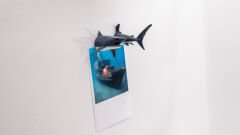 Köpek Balığı Magnet Dolap Süsü Karışık