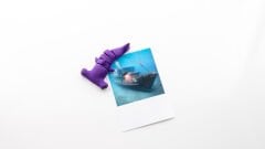 Çekiçbaş Köpekbalığı Magnet Dolap Süsü