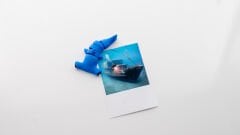 Çekiçbaş Köpekbalığı Magnet Dolap Süsü