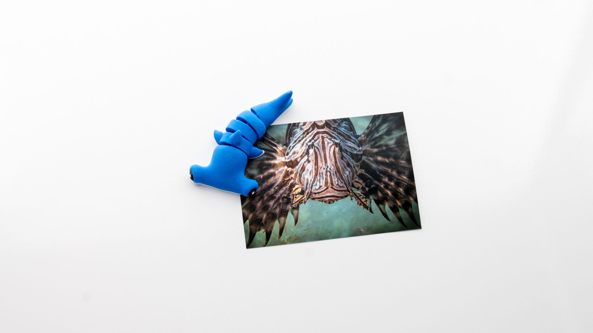 Çekiçbaş Köpekbalığı Magnet Dolap Süsü Mavi