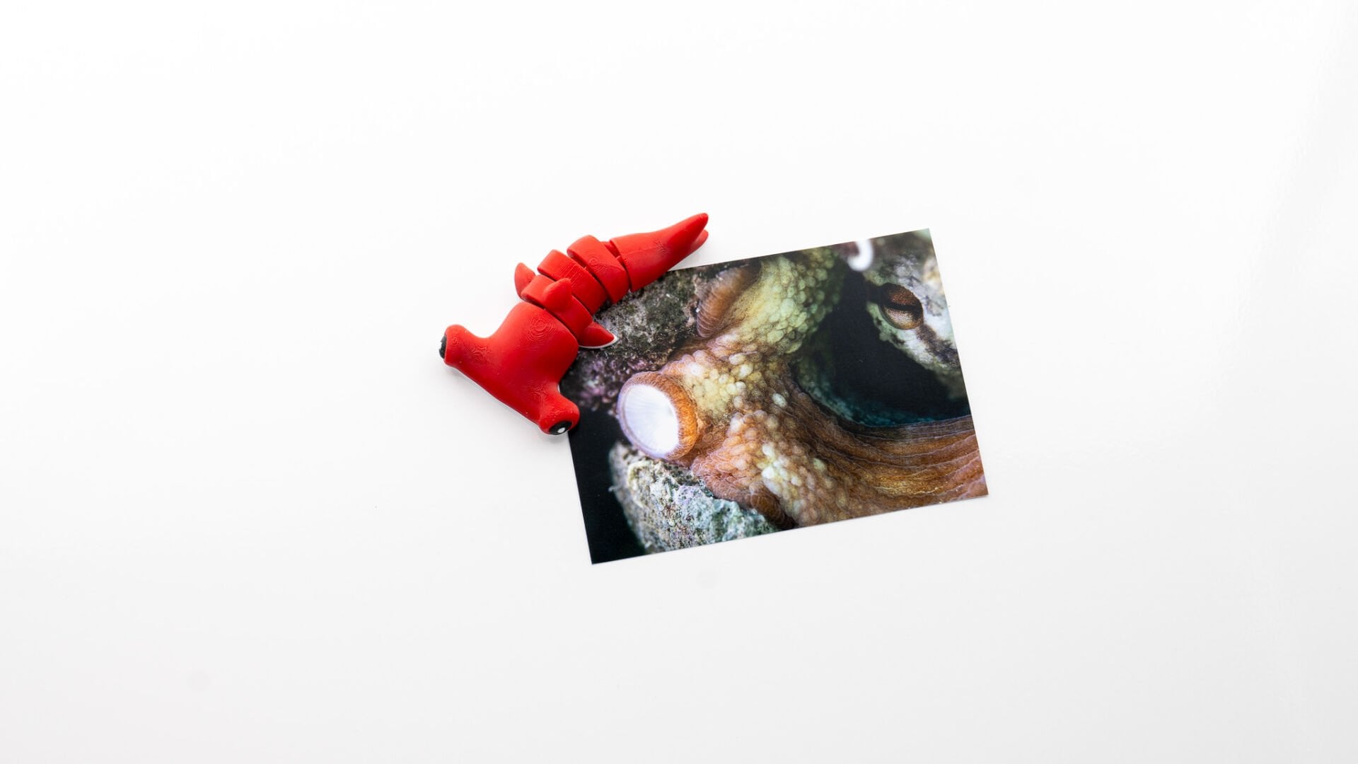 Çekiçbaş Köpekbalığı Magnet Dolap Süsü Kırmızı