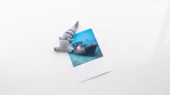 Çekiçbaş Köpekbalığı Magnet Dolap Süsü Gri