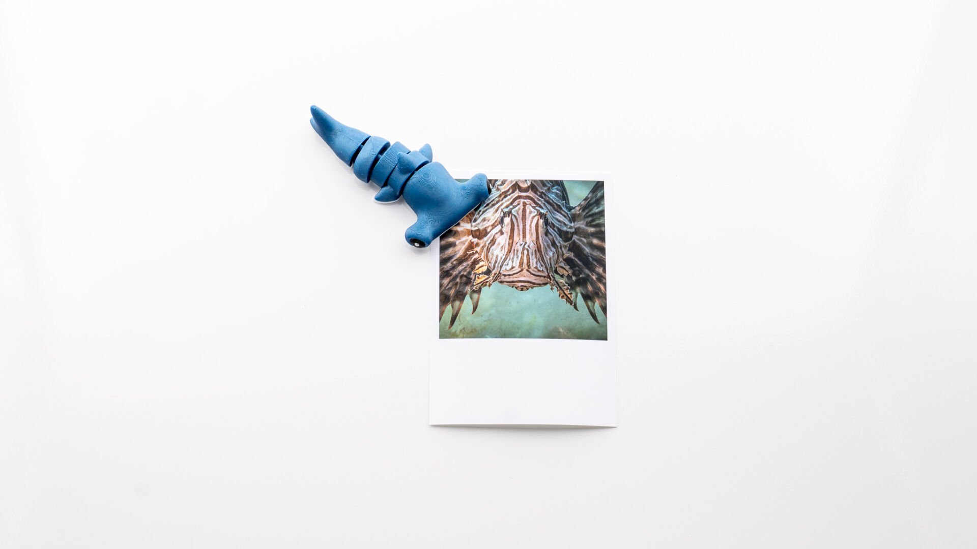 Çekiçbaş Köpekbalığı Magnet Dolap Süsü Çok Renkli