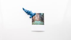 Çekiçbaş Köpekbalığı Magnet Dolap Süsü Çok Renkli