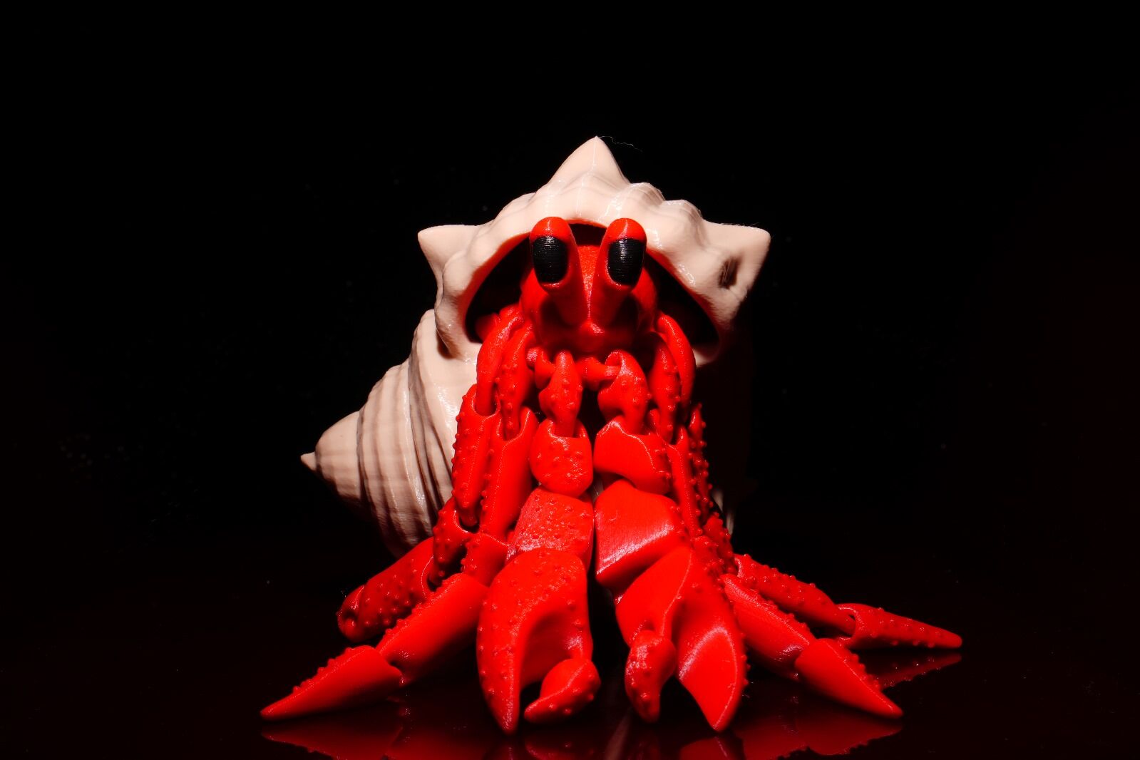 Keşiş Yengeci Biblo