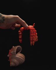 Keşiş Yengeci Biblo