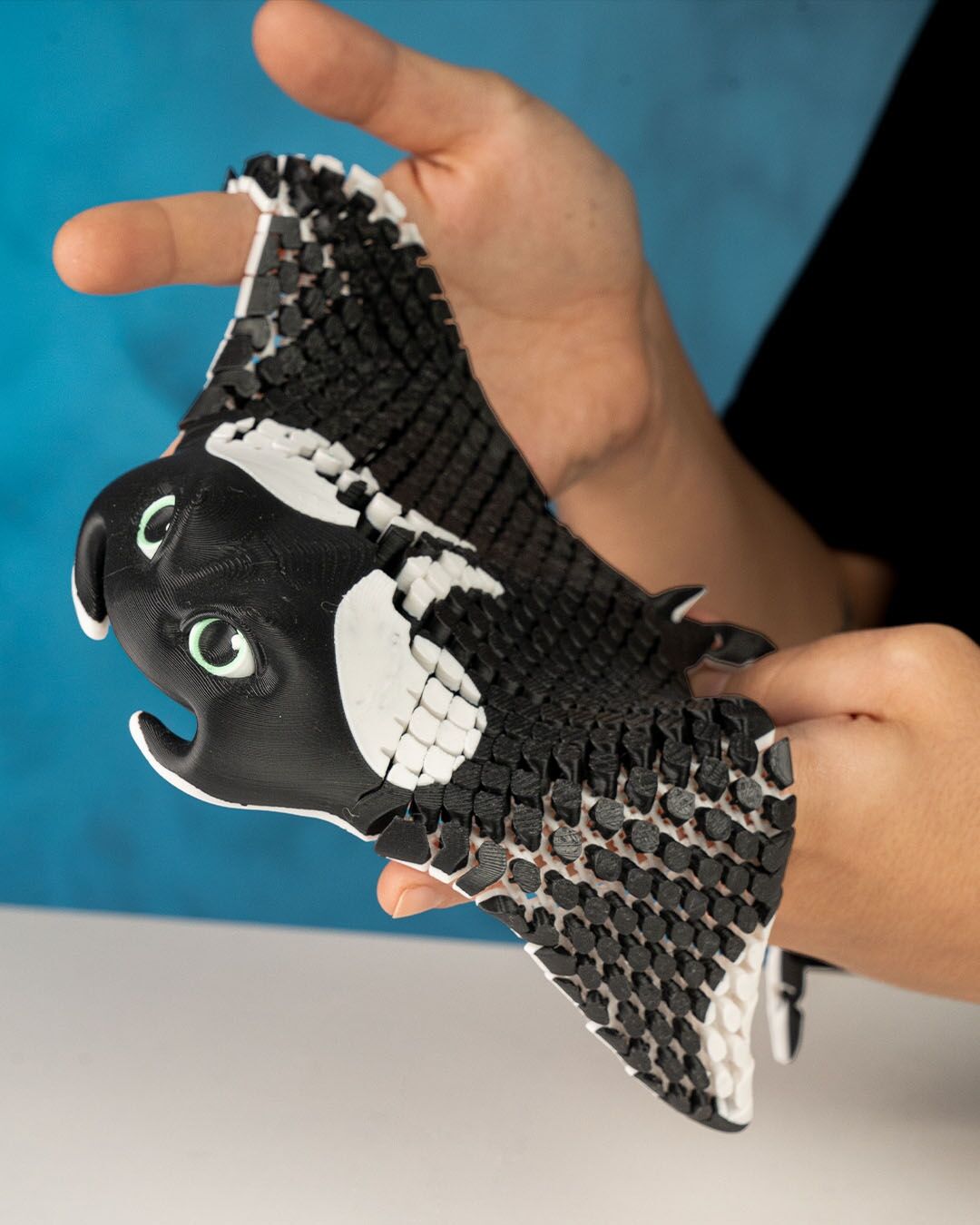 Manta Ray Siyah Biblo