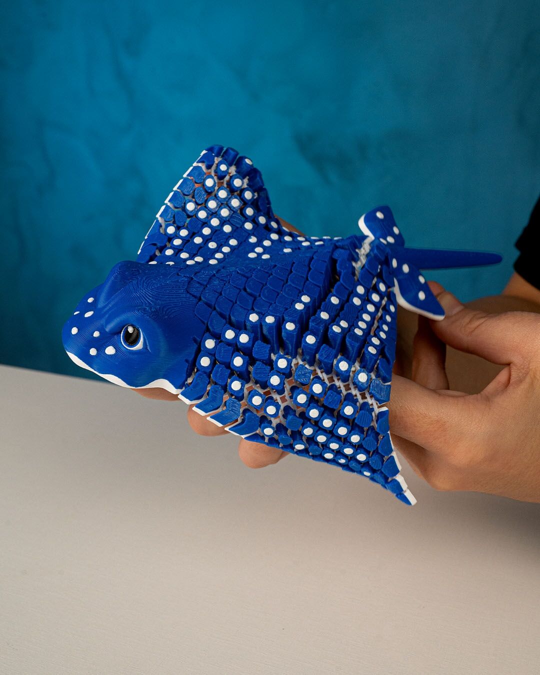 Eagle Ray Biblo