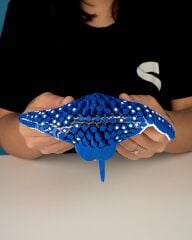 Eagle Ray Biblo
