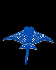 Eagle Ray Biblo