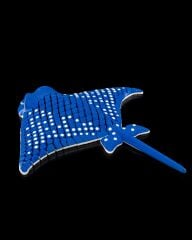 Eagle Ray Biblo