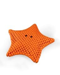 Deniz Yıldızı Biblo