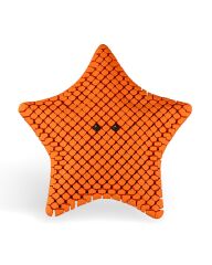 Deniz Yıldızı Biblo