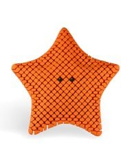 Deniz Yıldızı Biblo