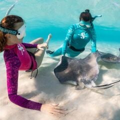 Scubapro Caribbean Uzun Kol İçlik Rash Guard