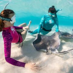 Scubapro Caribbean Uzun Kol İçlik Rash Guard